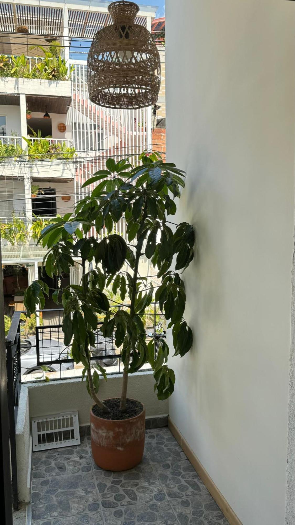 Luum Casa Hotel Manila Medellín Eksteriør billede